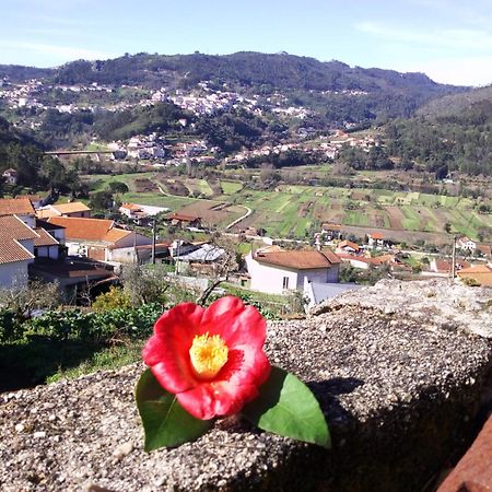 Casinha Da Sobreira Villa Penacova Kültér fotó