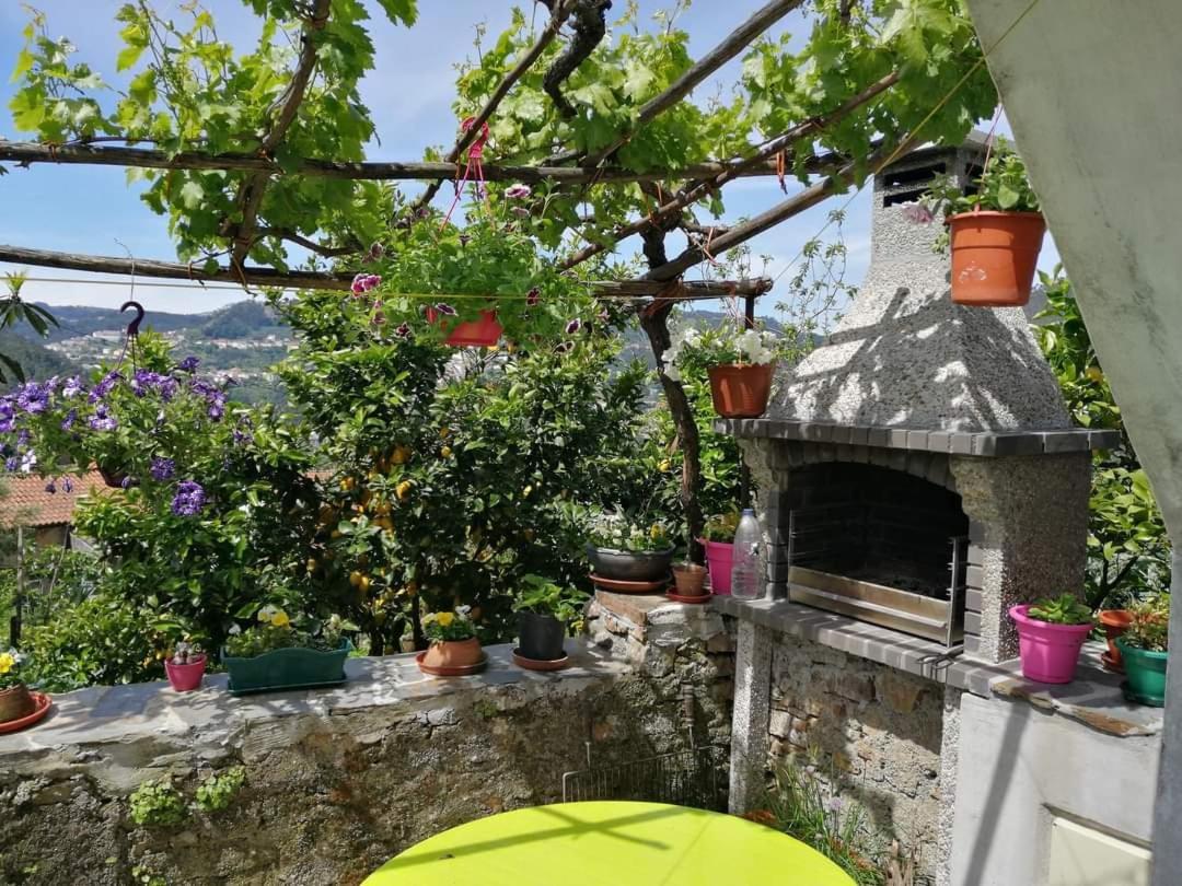 Casinha Da Sobreira Villa Penacova Kültér fotó