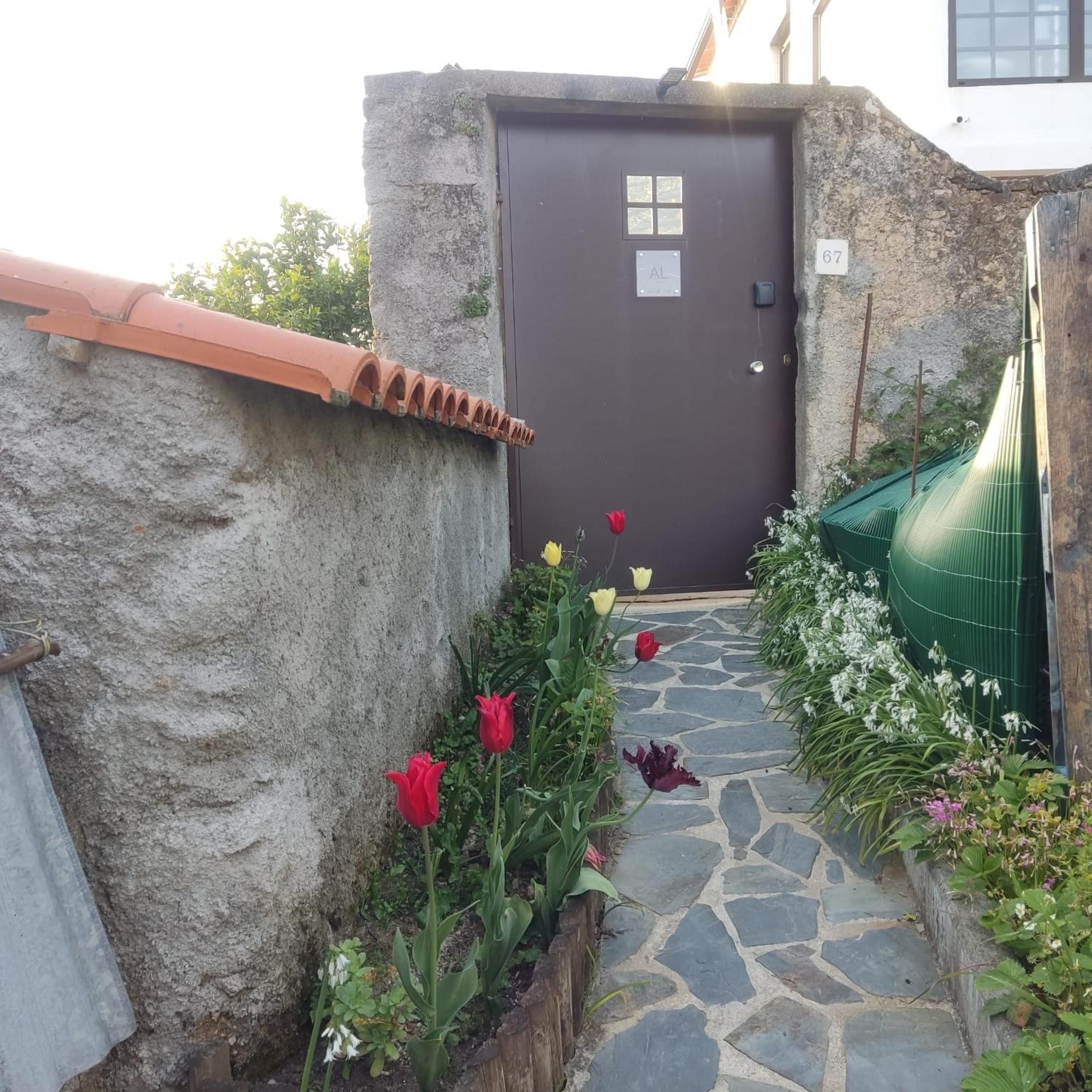 Casinha Da Sobreira Villa Penacova Kültér fotó